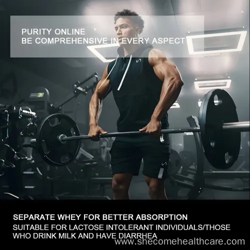 High Quality Whey Protein Powder Wholesale